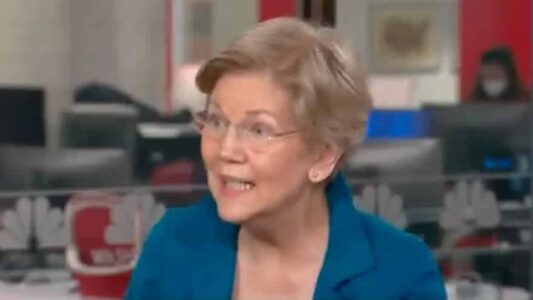 CRAZY LADY: Senator Warren Says Elon Musk Has No Right to Run Twitter
