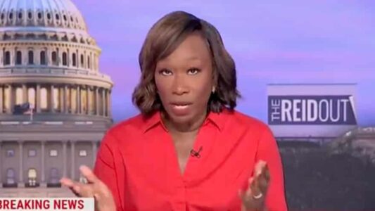 REID RAGE! Joy Reid Pulls the Race Card... AGAIN