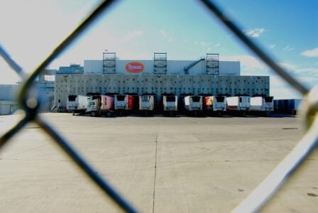 Tyson Chicken latest business giant to flee Chicago’s liberal leadership and rampant crime