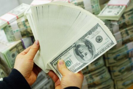 Unveiling the Real Numbers on the Economy