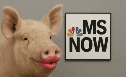 MSNBC’s Laughable New Name, Tulsi’s Clearance Purge & Leavitt Blasts the Media