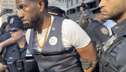 Nearly a Dozen NYC Officials Arrested Demanding Access to ICE Holding Cells
