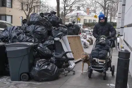 ‘Socialist King’ Mamdani Lives in Clean Luxury While City Drowns in Trash: ‘The most vile thing’