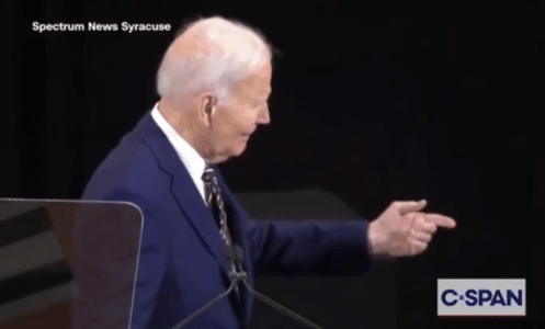 Biden Sees a Black Man in a Crowd and Thinks He Found Obama